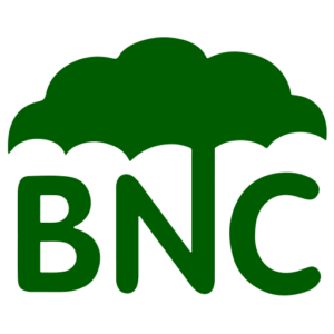 BNC Non-Woven Fabric Interlining