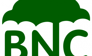 BNC Non-Woven Fabric Interlining